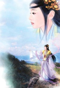 穿越之俏王妃尋親記