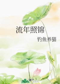 流年照錦