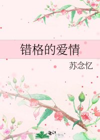 错格的爱情