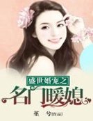 盛世婚寵之名門暖媳