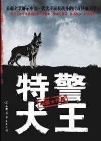 犬王传奇