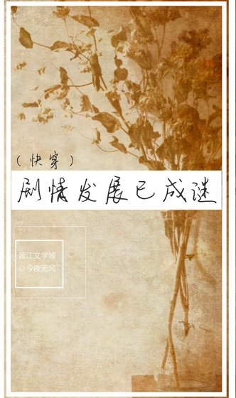 劇情發展已成謎（快穿）