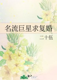 名流巨星求復婚