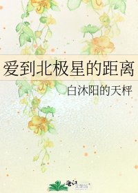 愛到北極星的距離